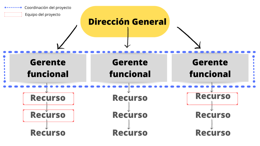 Organización Matricial 