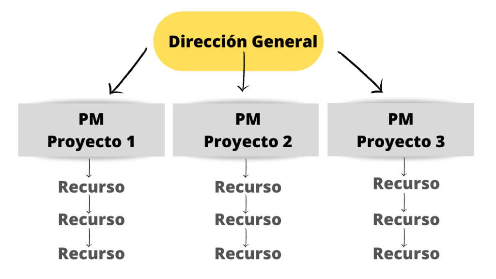 Organización Proyectizada