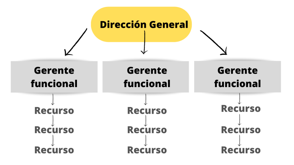 Organización Funcional