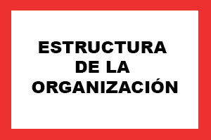 Estructura de la Organización