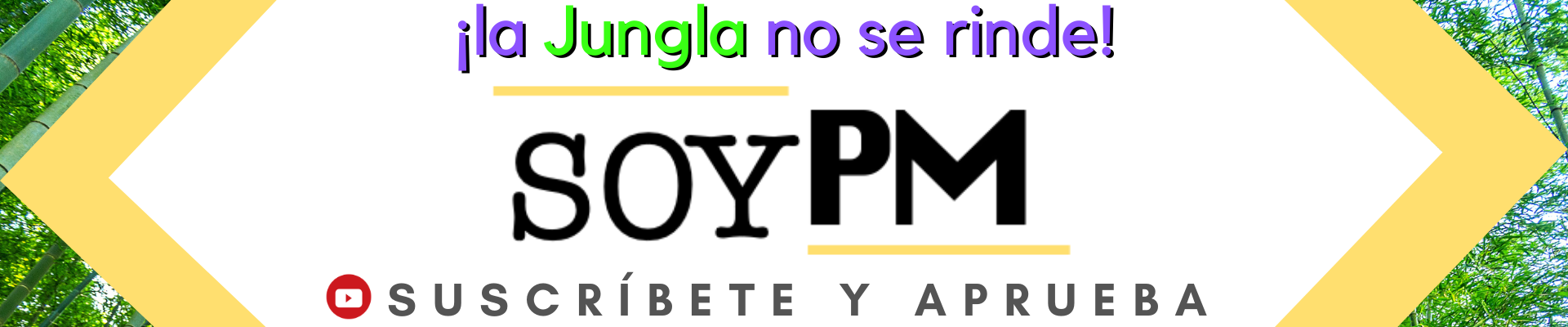 Soy PM 